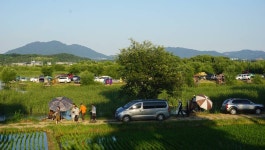 장구라 > 장구라가 간다. : 낚시사랑