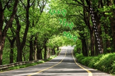 토탈조사 > 여름에 빠진 초평천(草坪川) : 낚시사랑