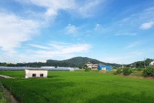 토탈조사 > 여름에 빠진 초평천(草坪川) : 낚시사랑