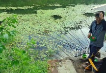 토탈조사 > 여름에 빠진 초평천(草坪川) : 낚시사랑