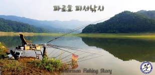 낙엽비 > 『파로호 피서(避暑)낚시』 : 낚시사랑
