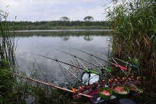 질꾼 > [191] 질꾼의 붕어 이야기 와룡천에서 홀로 즐기는 밤낚시 : 낚시사랑