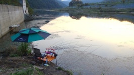 낙하산 > 낙하산의 낚시여행...(충북 보은에 있는 아담한 물줄기 ) : 낚시사랑