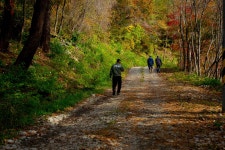 엘리어트 > 엘리어트의 가을 낚시여행 ( 가을 단풍산 계류를 찾아서... : 낚시사랑