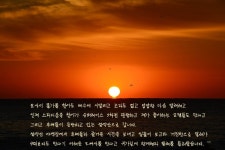 질꾼 > [196] 질꾼의 붕어 이야기,[대호만] 손 맛을 보장한다기에.........^^  : 낚시사랑