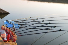 질꾼 > 질꾼의 붕어 이야기계화수로 : 낚시사랑