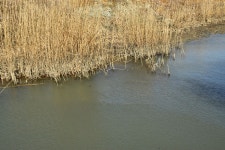 솔바람소리 > 물이 그리워 찾은 아담한 수로 : 낚시사랑