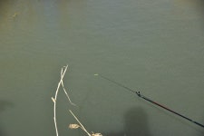 솔바람소리 > 물이 그리워 찾은 아담한 수로 : 낚시사랑