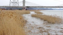낙하산 > 낙하산의 낚시여행...(충남 당진 당나루물꽃마을 캠핑장 & 50방 시조회) : 낚시사랑