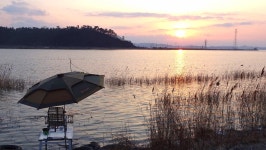 낙하산 > 낙하산의 낚시여행...(충남 당진 당나루물꽃마을 캠핑장 & 50방 시조회) : 낚시사랑