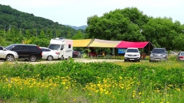 낙하산 > 낙하산의 낚시여행...(경기 여주 이포보캠핑장 주변) : 낚시사랑
