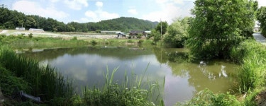 바다하늘산 > 강원권 소류지 탐사 ... 산 (山) ... 2019.6.15 ~ 6.16 ... : 낚시사랑