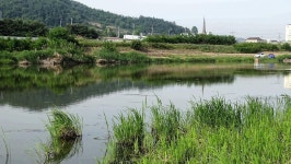 낙하산 > 낙하산의 낚시여행...(제16회 클럽교류전 & 반성낚시) : 낚시사랑