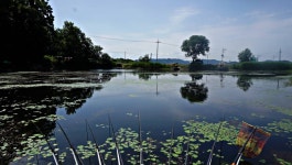 장구라 > 장구라가 간다. : 낚시사랑