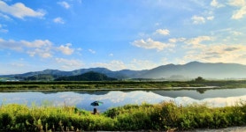 토탈조사 > 진위천에 드넓은 저수지가 있다구요?? : 낚시사랑