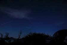 새옹지마 > [조행297]논산에서 부여, 청양까지,,,,,, : 낚시사랑