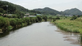 낙하산 > 낙하산의 낚시여행...(충북 괴산에 있는 앵천리수로 하류권) : 낚시사랑