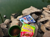 솔바람소리 > 삽교호 부장리 : 낚시사랑