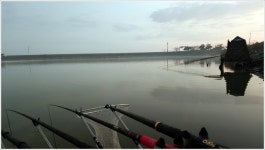 어신 > 마릿수 붕어가 나온다는 삽교호를 찾았습니다. : 낚시사랑