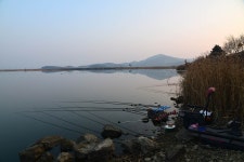 질꾼 > [붕어 이야기 251] 2020 첫 출조에서 164수 : 낚시사랑