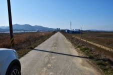솔바람소리 > 예산 무한천 : 낚시사랑