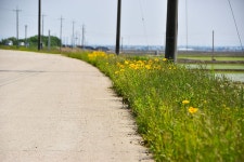 솔바람소리 > 삽교호 부장리 : 낚시사랑