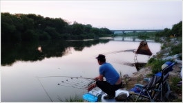 어신 > 여주 금당천 합수머리에서 : 낚시사랑