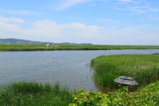 질꾼 > [붕어 이야기 274] 도시어부 촬영 뒤 와룡천으로..... : 낚시사랑