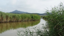 낙하산 > 낙하산의 낚시여행...(대호 대산1번수로 & 적서리권) : 낚시사랑