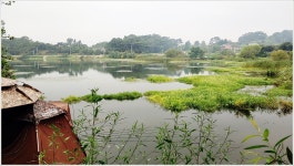 어신 > 홍성 봉서제의 허리급 대물 붕어들 : 낚시사랑