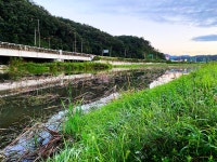 솔바람소리 > 화산천과 이티천 합류지점 : 낚시사랑