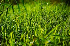 솔바람소리 > 화산천과 이티천 합류지점 : 낚시사랑