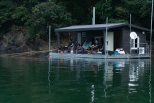 엘리어트 > 충주댐 늘푸른낚시터 : 낚시사랑