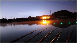 어신 > 대호만 초락도리에서의 2박 3일 : 낚시사랑