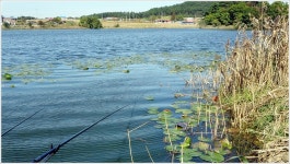 어신 > 피싱 TV 촬영을 위해 찾은 서산의 소류지 : 낚시사랑