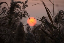 바다하늘산 > 충청권 소류지 탐사 ... 입동(立冬) ... 2020.11.7 ~ 11.8 ... : 낚시사랑