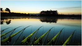 어신 > 남도 2차원정 첫번째 눈보라속에 갇힌 호동제의 3박 4일 : 낚시사랑