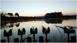 어신 > 남도 2차원정 첫번째 눈보라속에 갇힌 호동제의 3박 4일 : 낚시사랑