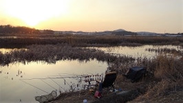 낙하산 > 낙하산의 낚시여행...(경기도 화성 송산에 있는 둠벙) : 낚시사랑