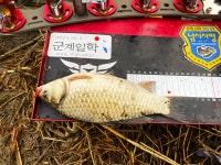 솔바람소리 > 우강면 대포리 : 낚시사랑