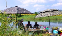 솔바람소리 > 공주시 신풍면 산정리 : 낚시사랑