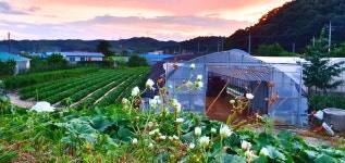 솔바람소리 > 예산군 신양면 귀곡리 : 낚시사랑
