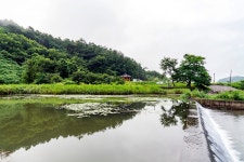 일산꾼 > 일산꾼의 피싱 다이어리-전남 탐진강 : 낚시사랑