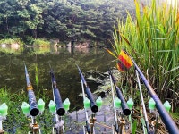 솔바람소리 > 사곡면 해월리 : 낚시사랑