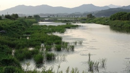 낙하산 > 낙하산의 낚시여행...(충북 주덕에 있는 요도천) : 낚시사랑