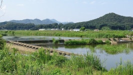 낙하산 > 낙하산의 낚시여행...(충북 주덕에 있는 요도천) : 낚시사랑