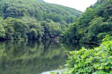 일산꾼 > 일산꾼의 피싱 다이어리-공주 산속 소류지 : 낚시사랑