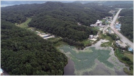 존폐기로의 노루목저수지 붕어들