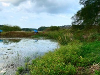 솔바람소리 > 홍성군 결성면 와룡천 : 낚시사랑