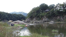 낙하산 > 낙하산의 낚시여행...(경기도 포천 영평천 줄기) : 낚시사랑